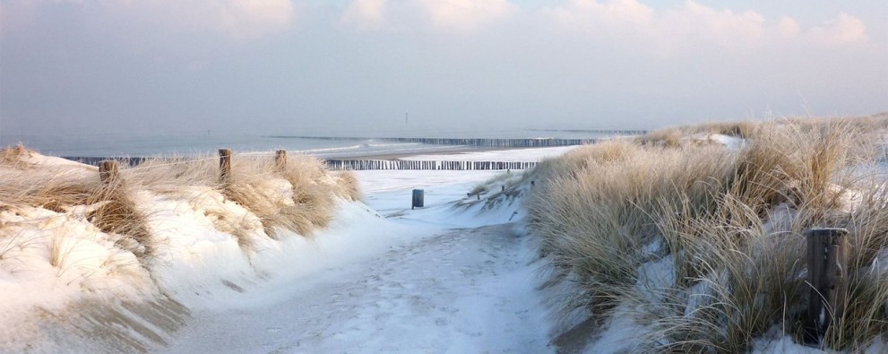 Winter strand  schouwen duiveland.jpg