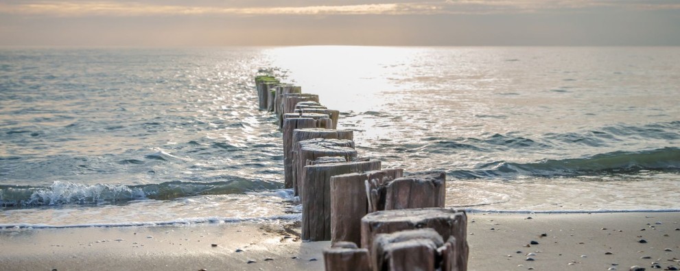 Header veelgestelde vragen.jpg
