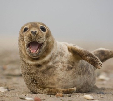 Am Strand
