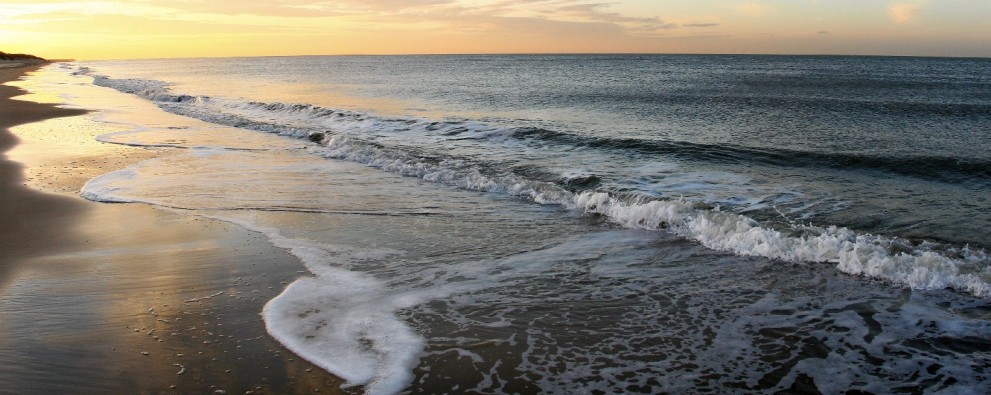 Renesse.JPG
