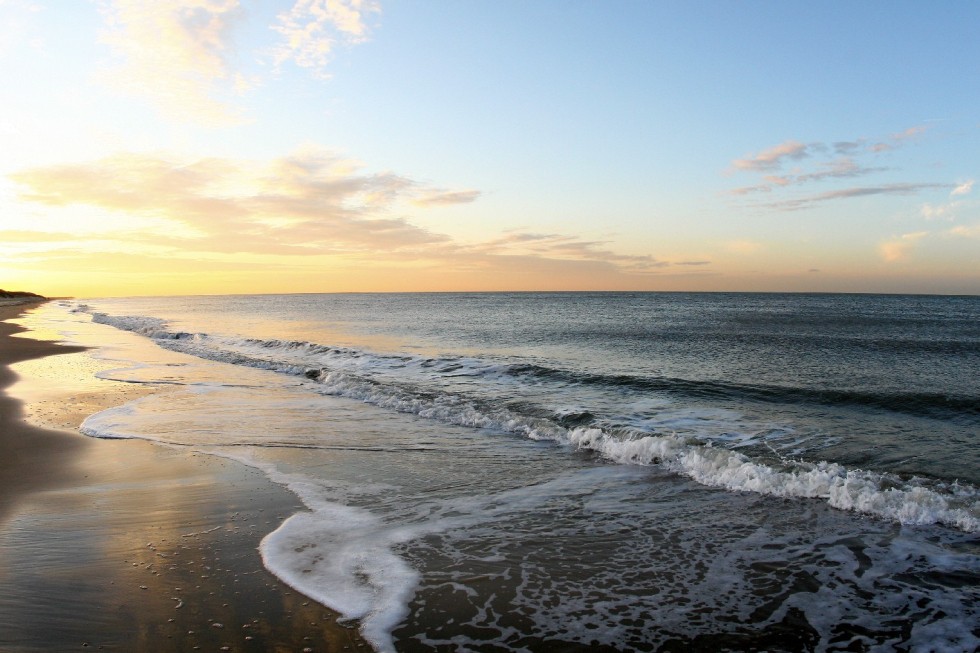 Renesse.JPG
